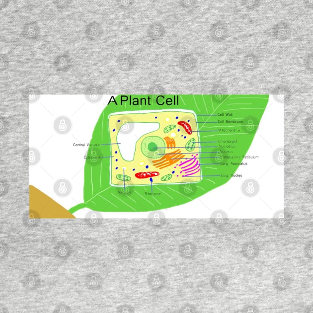 A plant cell. by ikshvaku